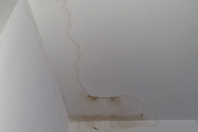 Hidden Water Leaks